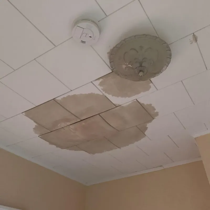 Ceiling Water Damage Repair in Center City, MN