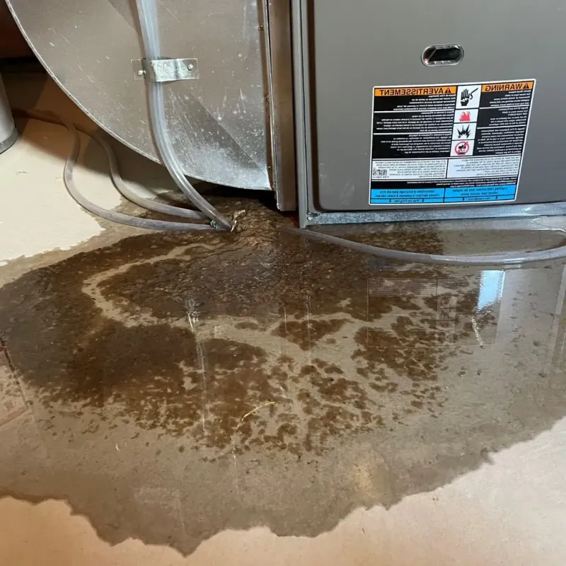 Pipe Burst and Leak Restoration in Center City, MN