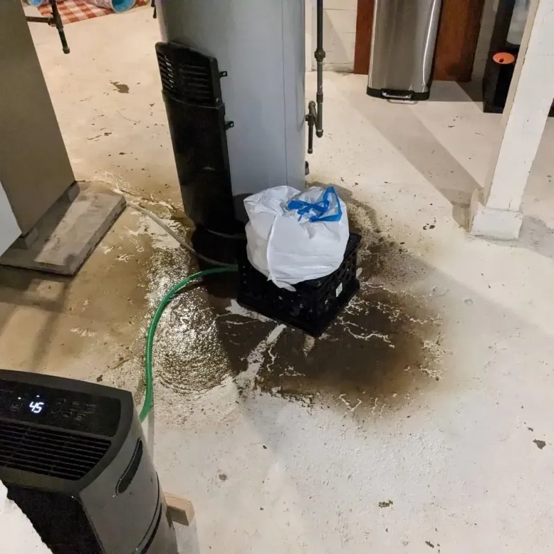 Sewage Backup Cleanup Service in Center City, MN
